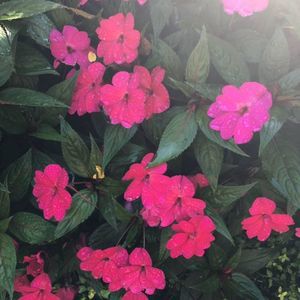 Meet your Posher, Joseph